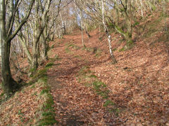 Jamesville quarry incline near passing loop, Cwmcarn, December 2008